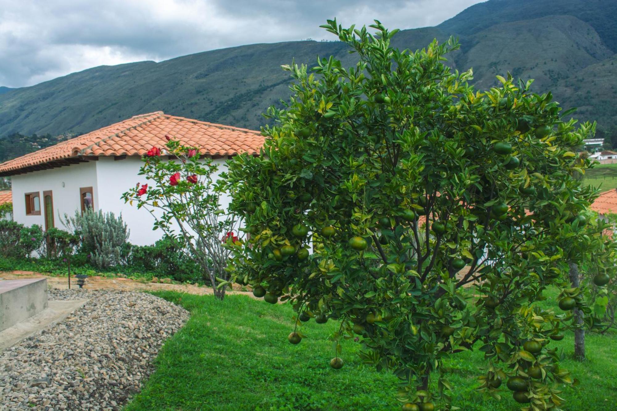 Ocarina Suites-hotel De Leyva Guest house Villa de Leyva