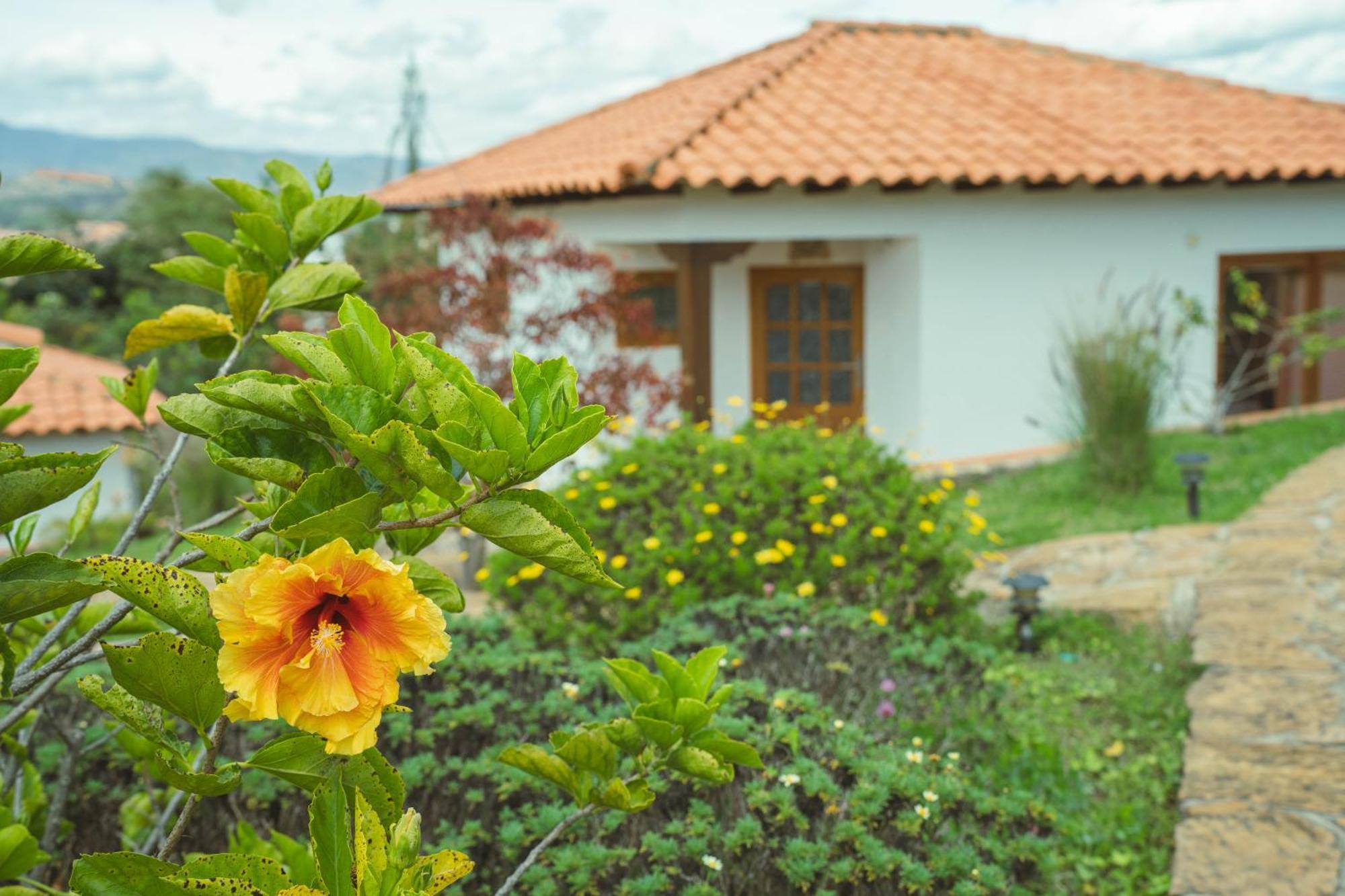 Guest house Ocarina Suites-hotel De Leyva *